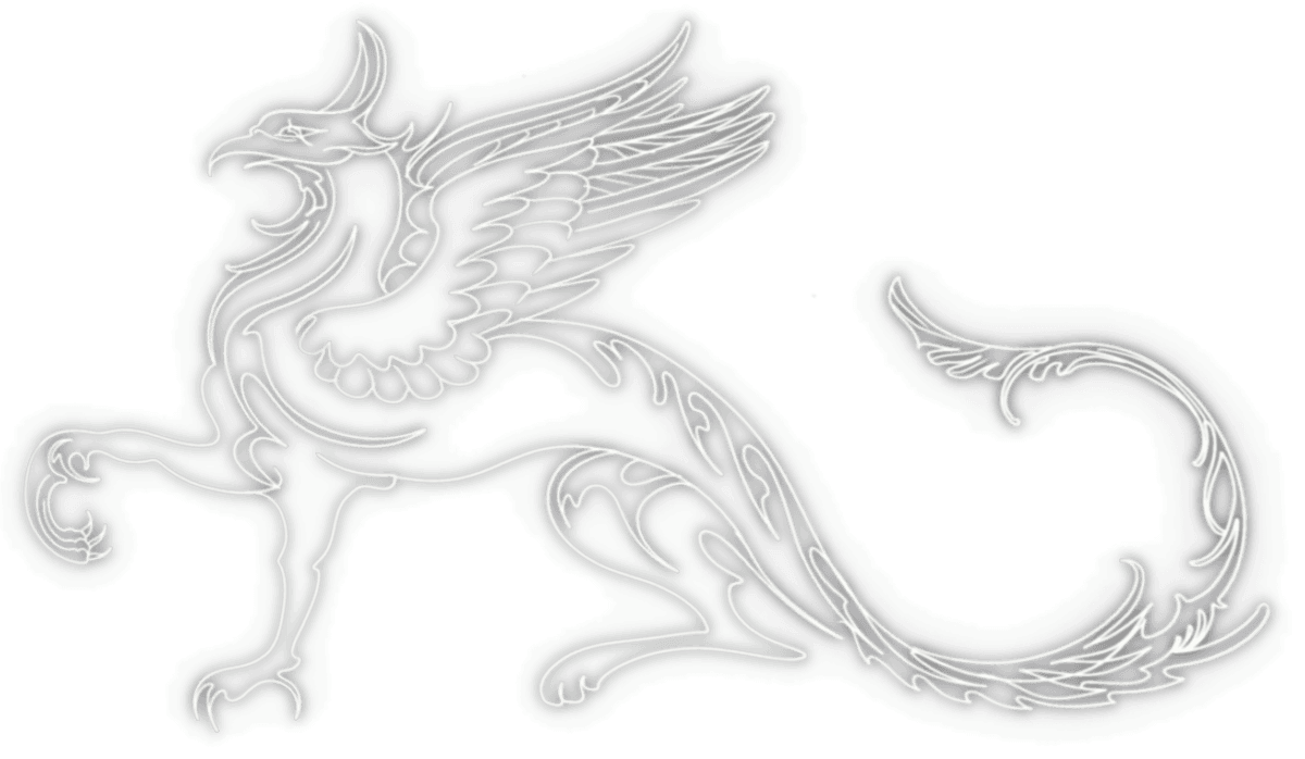 Dragon Run