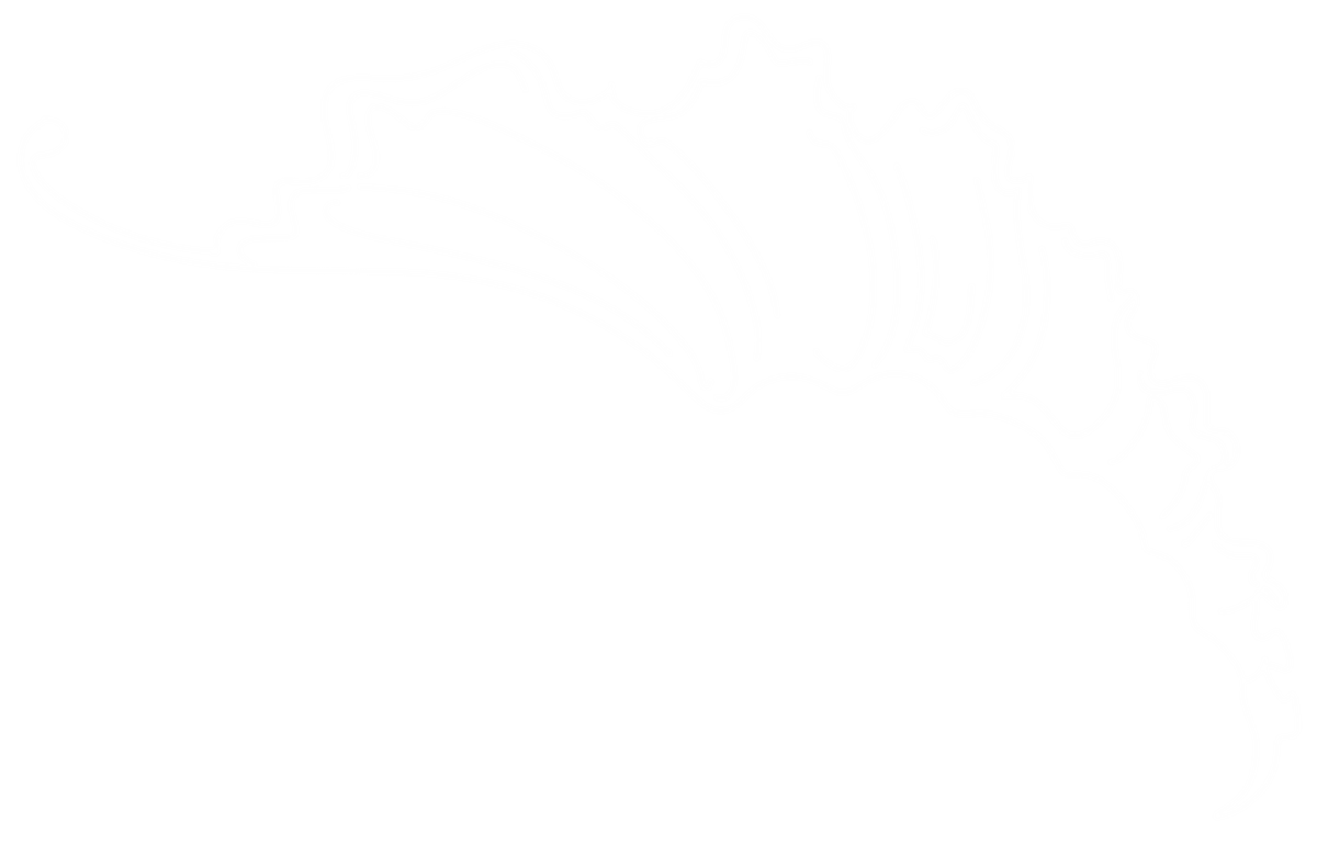 Shell Outline